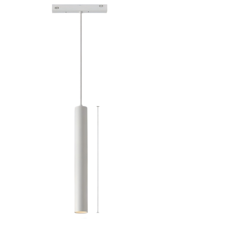 Magnetic Spot Suspension Light 48V