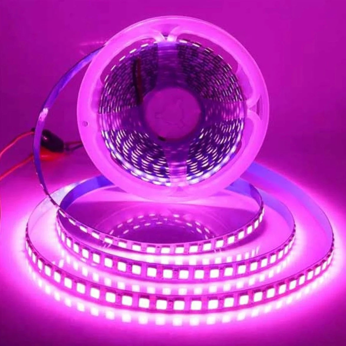 Strip Light 12V or 24V 120Led/meter