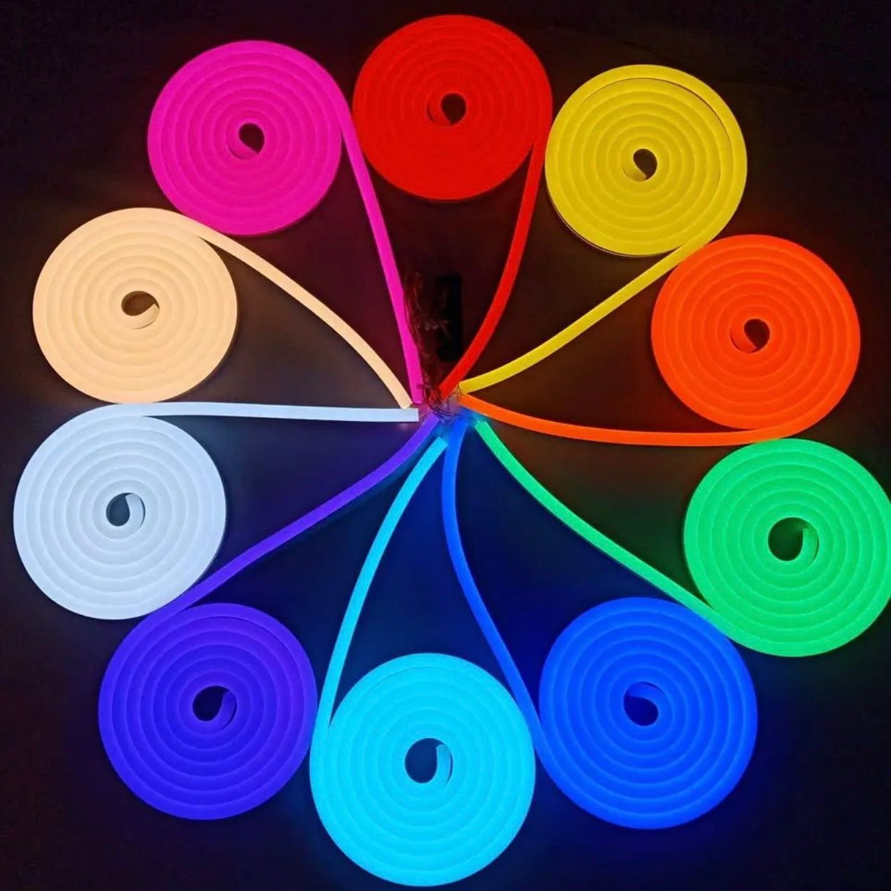 Neon Flexible Strip Light 12V