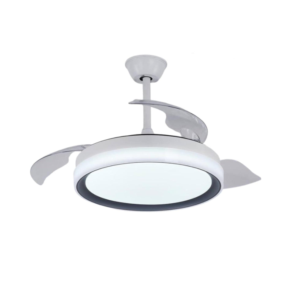 Modern Round Shape Fan