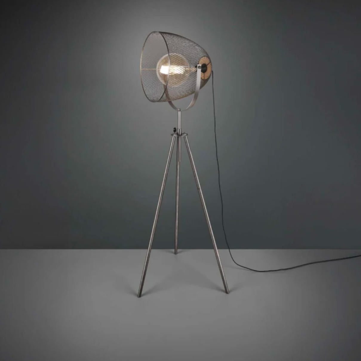 Wesa Standing Cage Floor Lamp