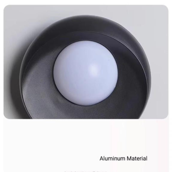 Round Shell Wall Lamp