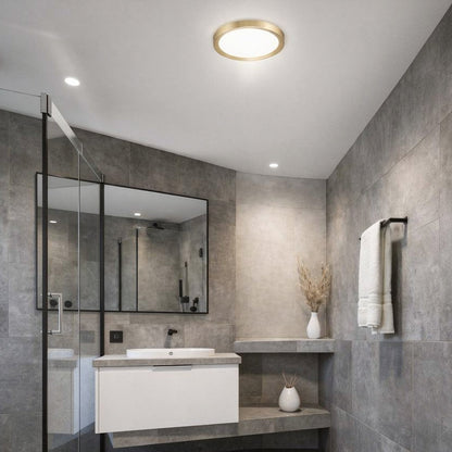 Modern Round Downlight With Brushed Finish