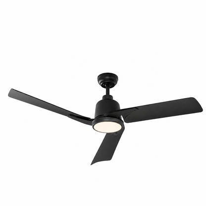 BreezeForm Ceiling Fan