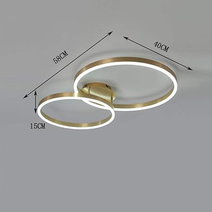 Double Loop Ceiling Light Chandelier