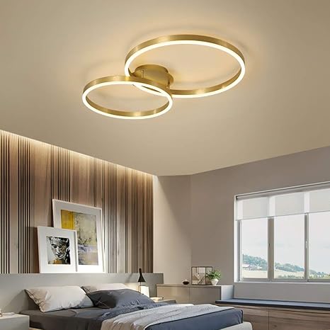 Double Loop Ceiling Light Chandelier