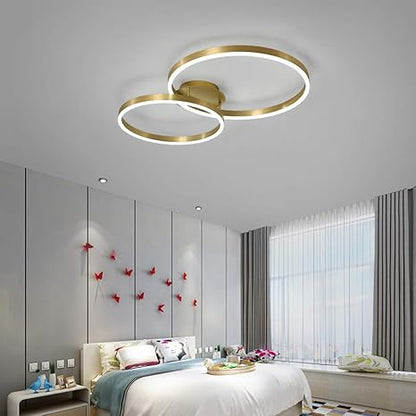 Double Loop Ceiling Light Chandelier