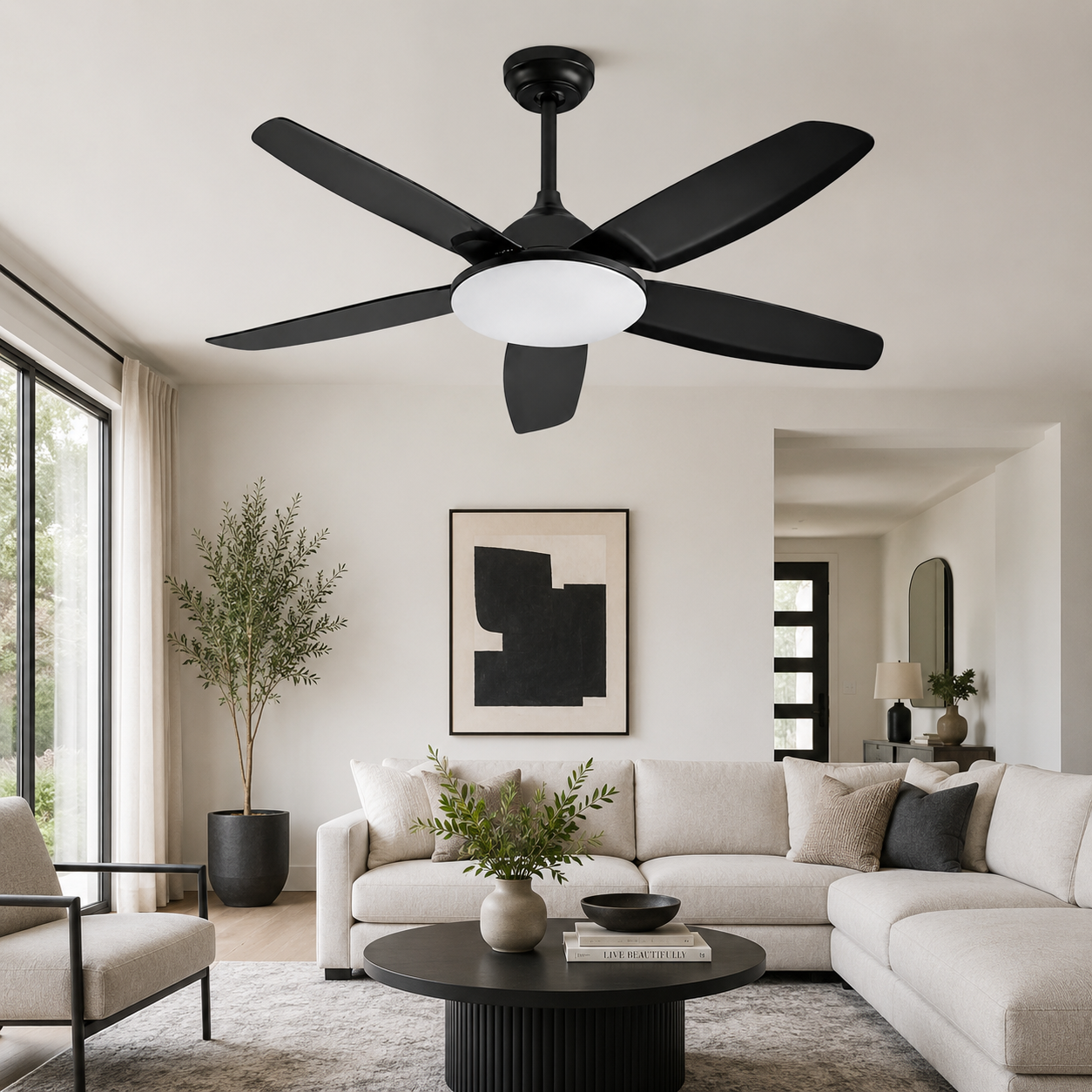 Cloud Spinner Ceiling Fan