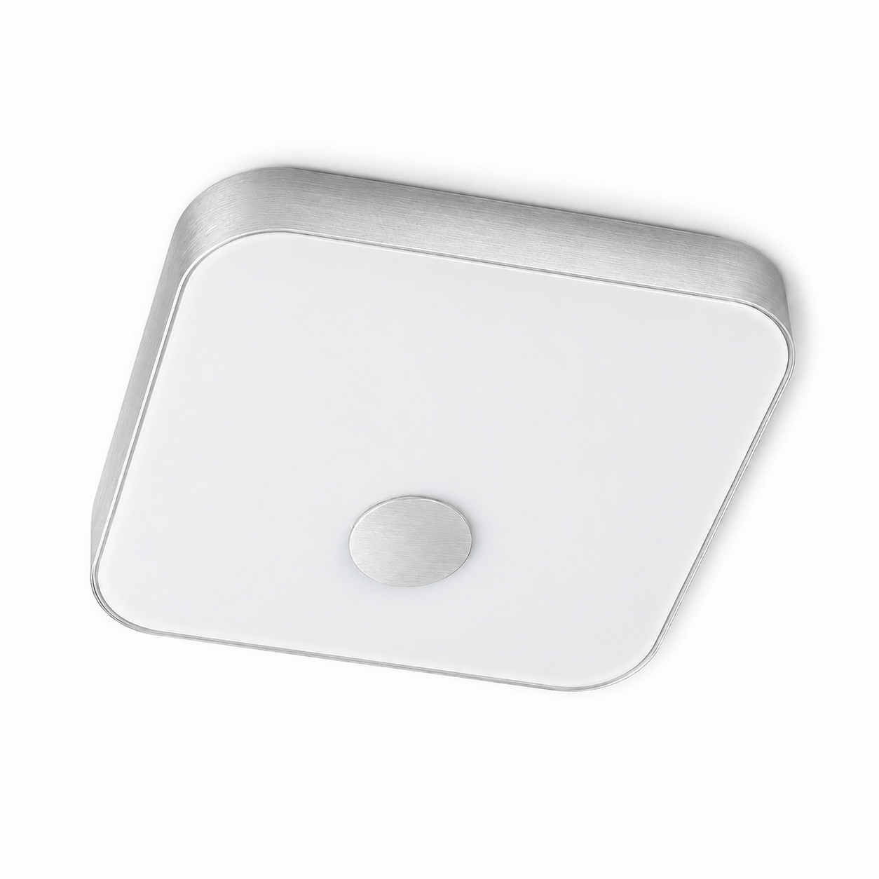 Silver Edge Ceiling Light