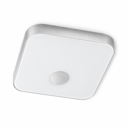 Silver Edge Ceiling Light