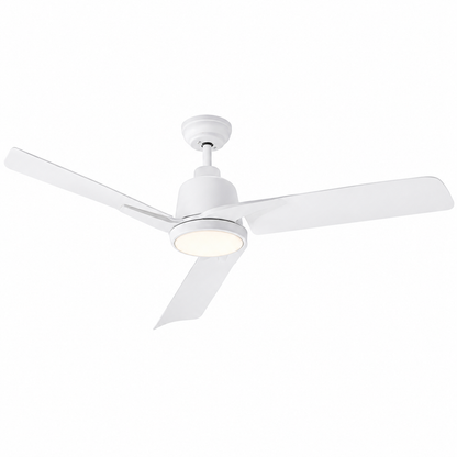 BreezeForm Ceiling Fan
