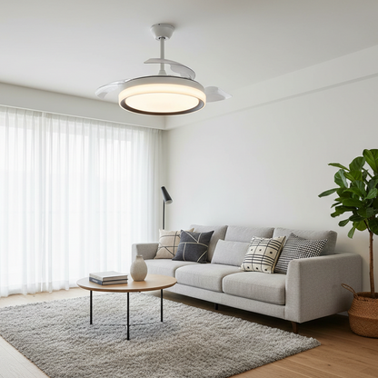 Modern Round Shape Fan