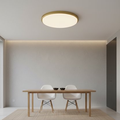 Down Light Led Surface Thick Gold Frame