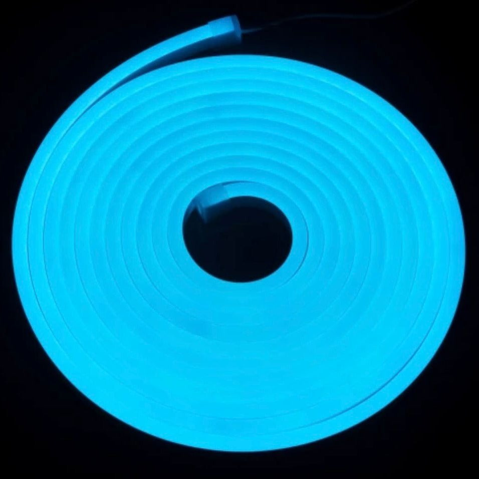 Neon Flexible Strip Light 12V