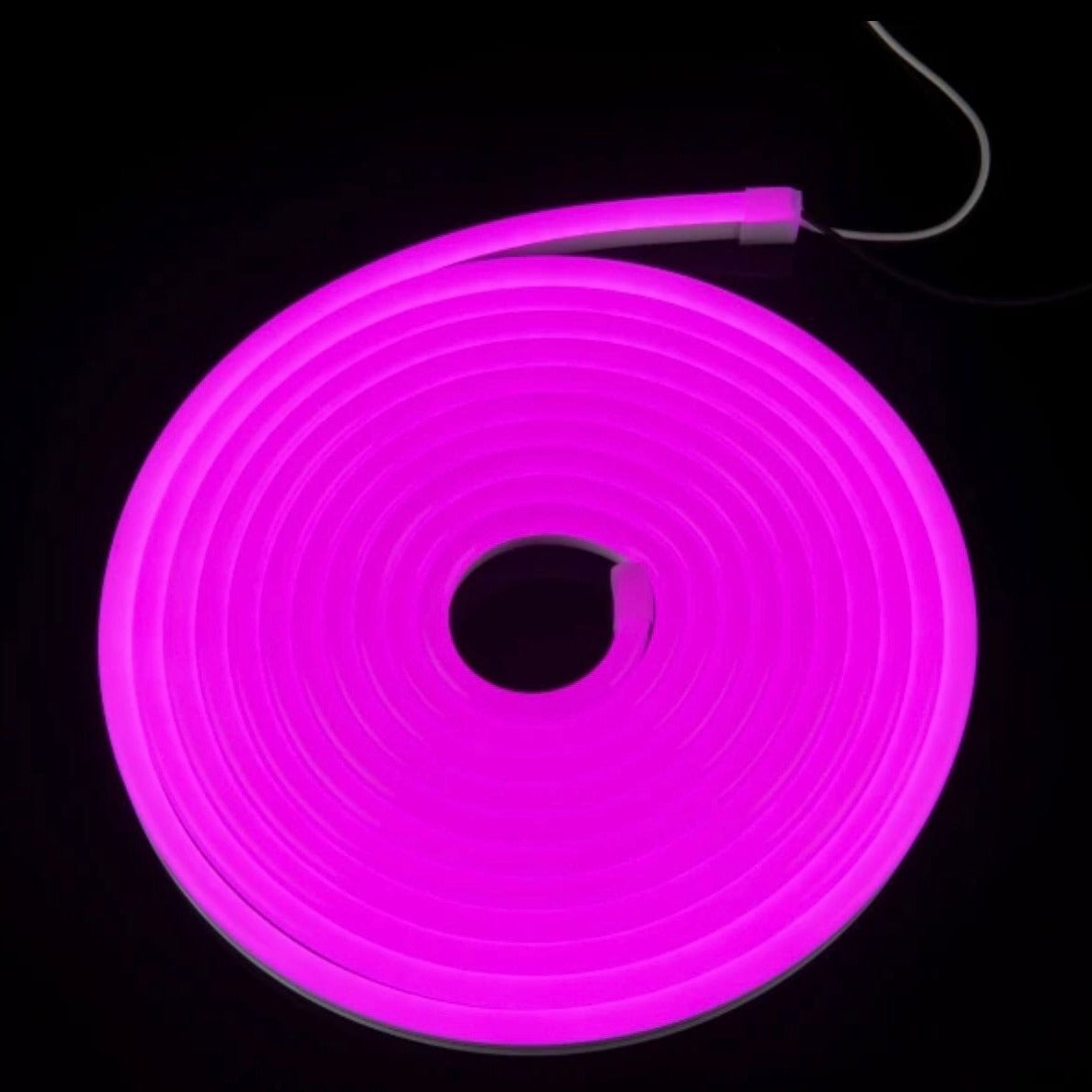 Neon Flexible Strip Light 12V