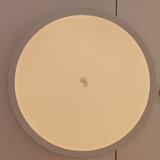 Down Light Led Surface Waterproof Emergency