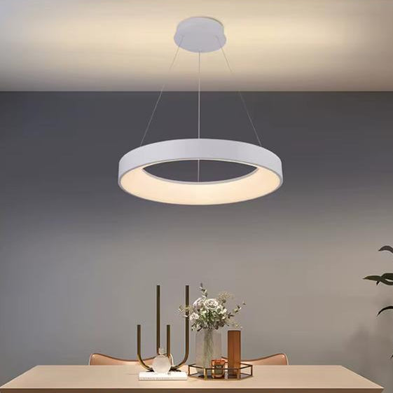 Simple Circle With Frame Pendant Light