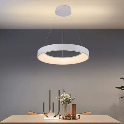 Simple Circle With Frame Pendant Light