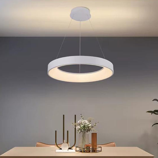 Simple Circle With Frame Pendant Light