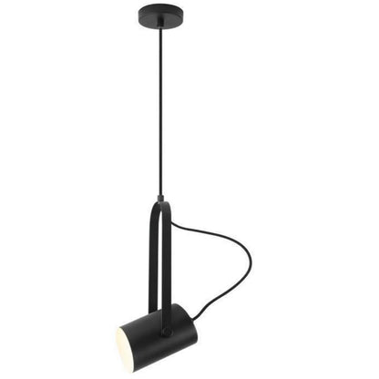 Adjustbale Spot Pendant Light