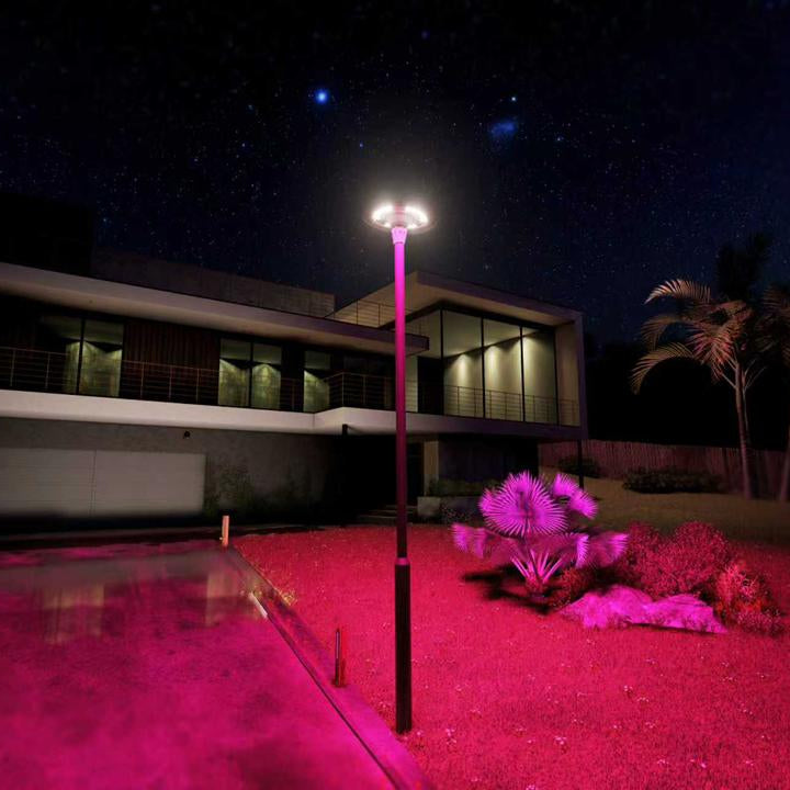 Modern Warrior Solar Garden Light