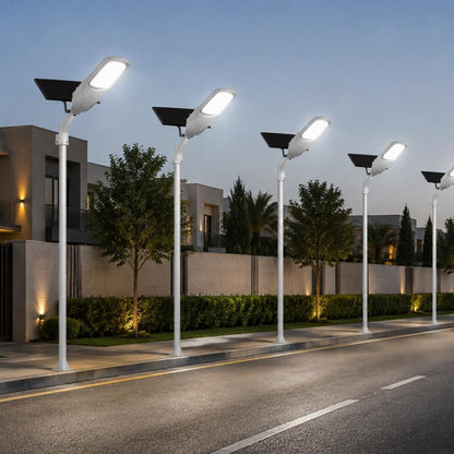 Solar Street Light 1000W