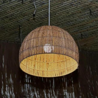 Semi Circle Pendant Light