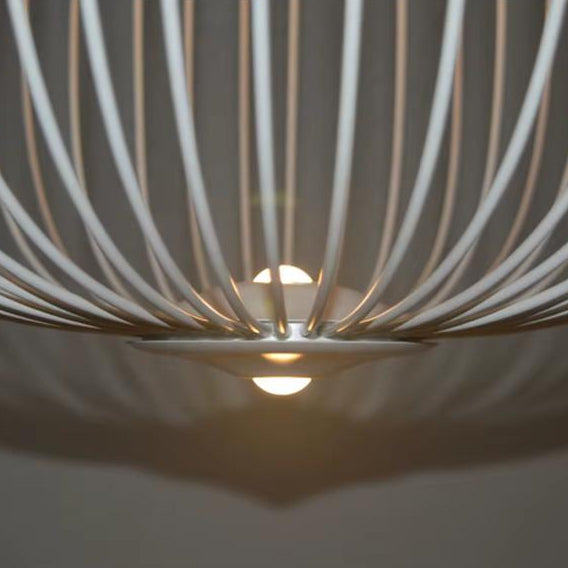 European Design Cage Led Light