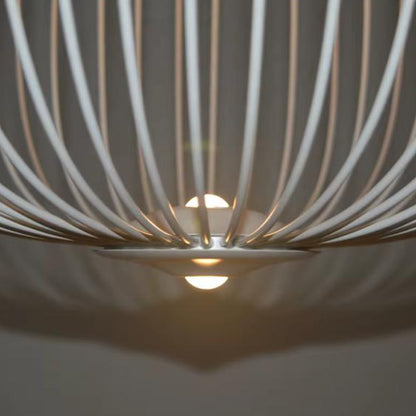 European Design Cage Led Light