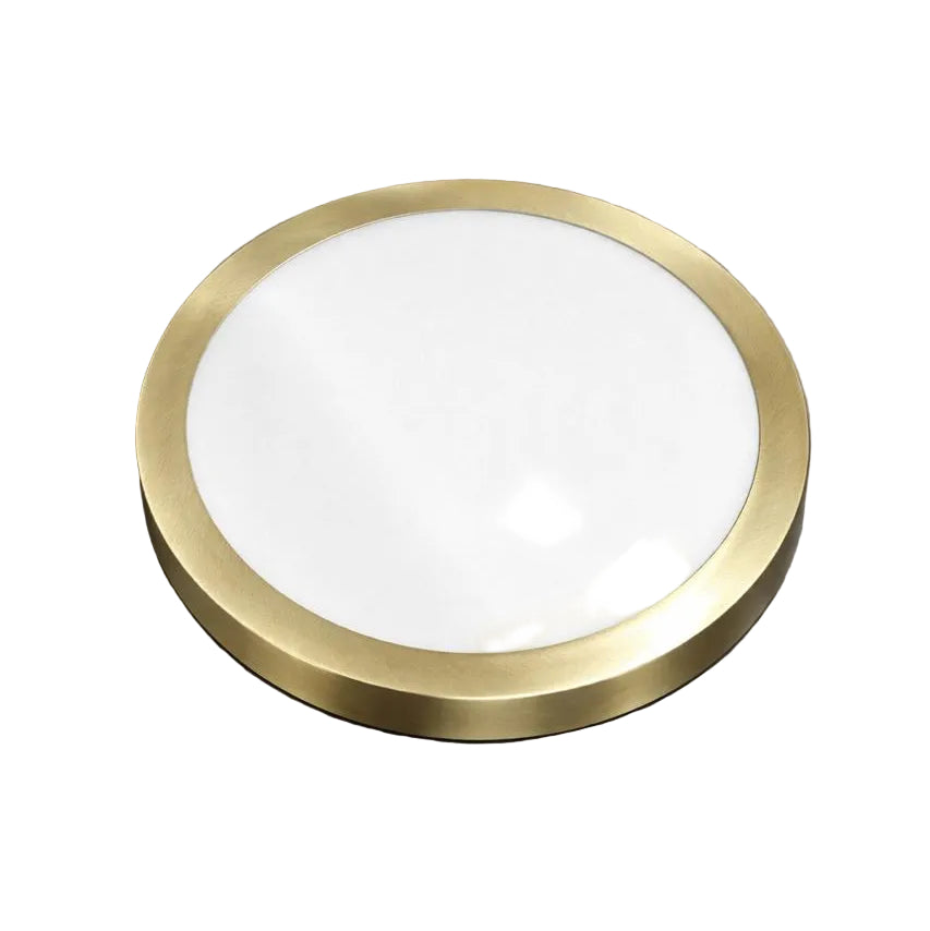 Modern Round Downlight With Brushed Finish