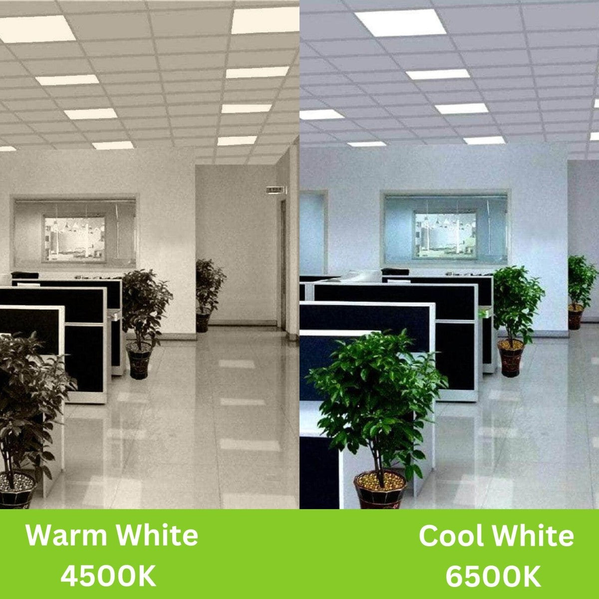 Downlight Recessed Panel 5 CCT